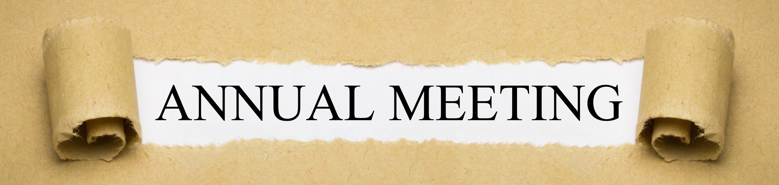 Annual Meeting
